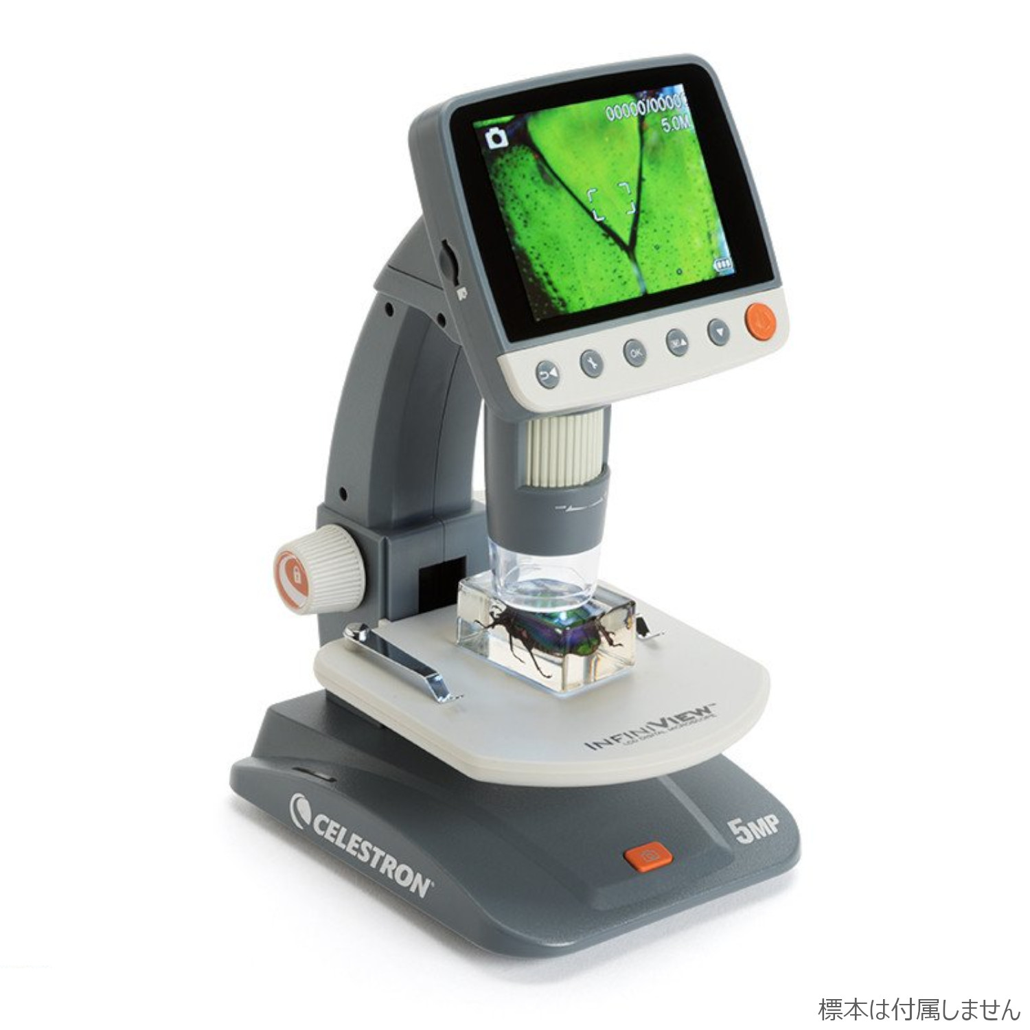 あなたにおすすめの商品 tomtomVixen 顕微鏡 双眼実体顕微鏡 SL