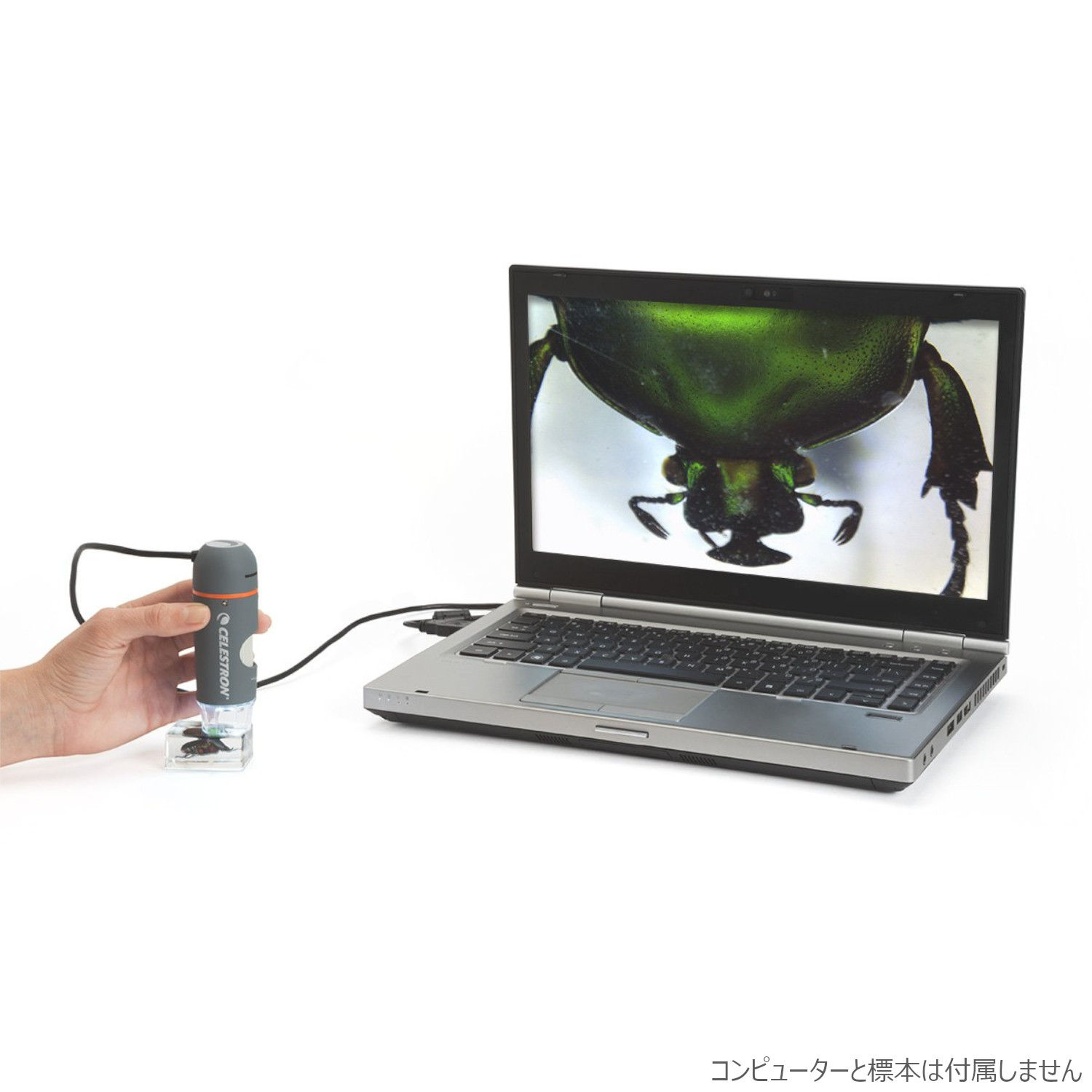 CELESTRON 顕微鏡 デジタル顕微鏡 ハンディ PRO | ビクセン オンラインストア ｜ 国内最大級の光学機器通販サイト
