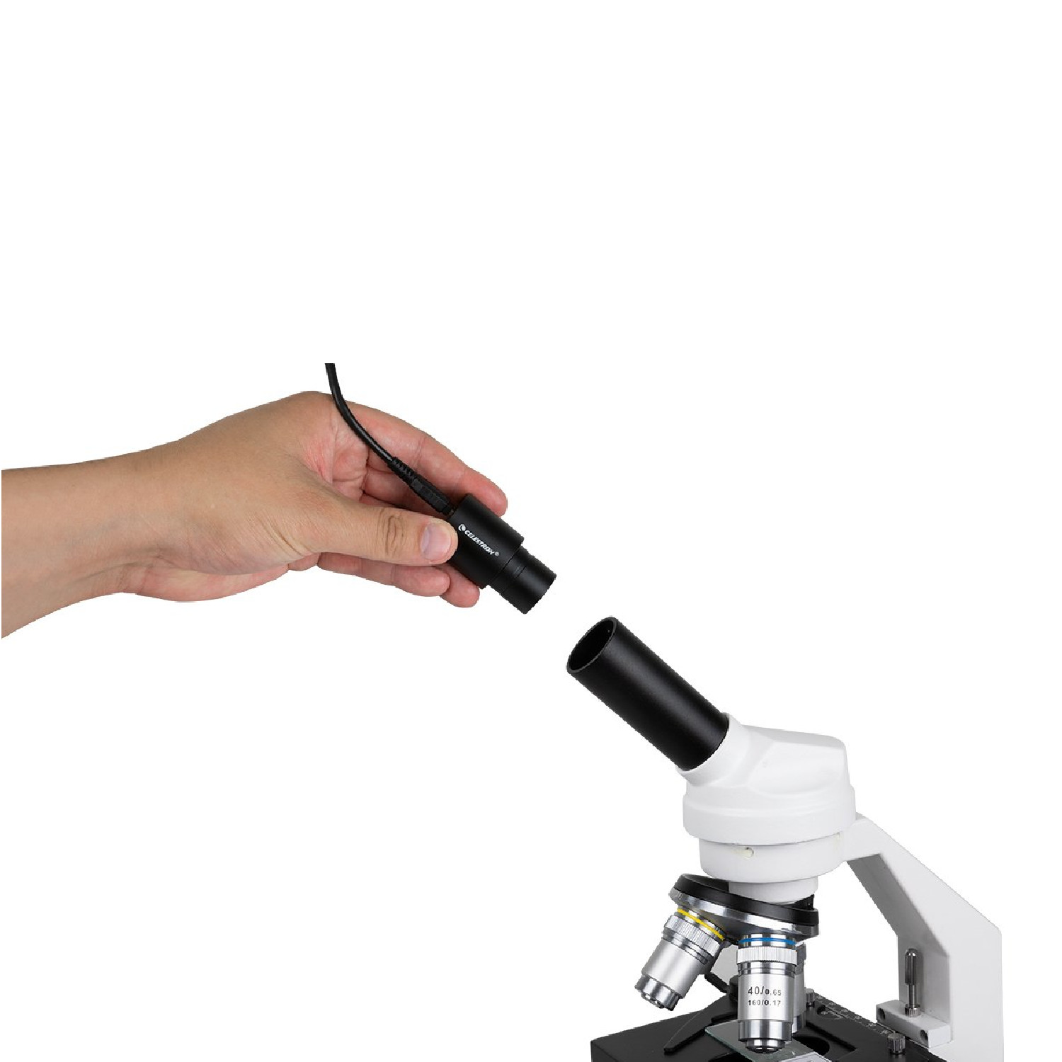 CELESTRON 顕微鏡 デジタル顕微鏡カメラ 2MP | ビクセン オンライン