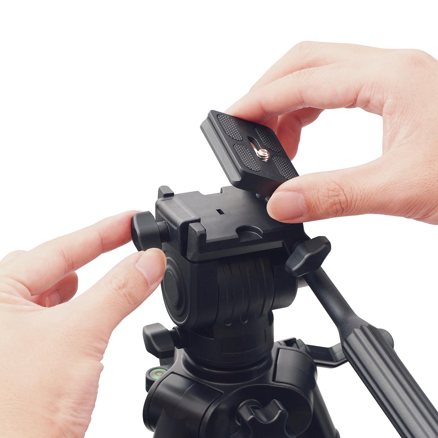 予約販売】Vixen フィールドスコープ ジオマ ミニ ED50 ZOOM PS-149
