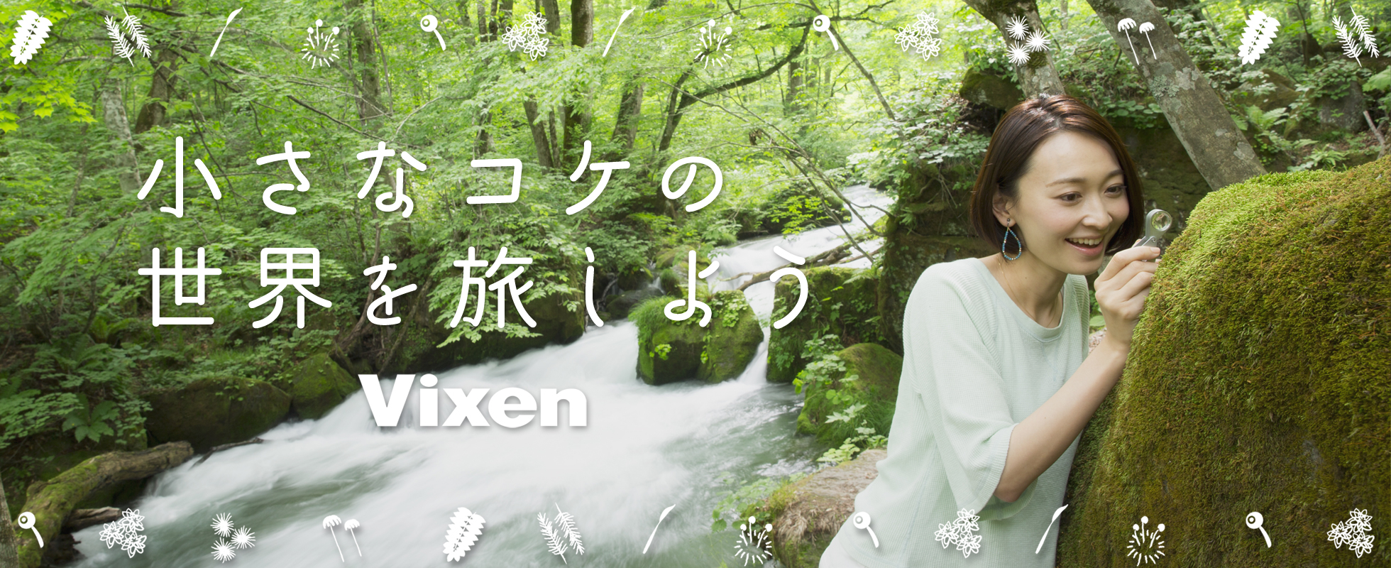 コケセール