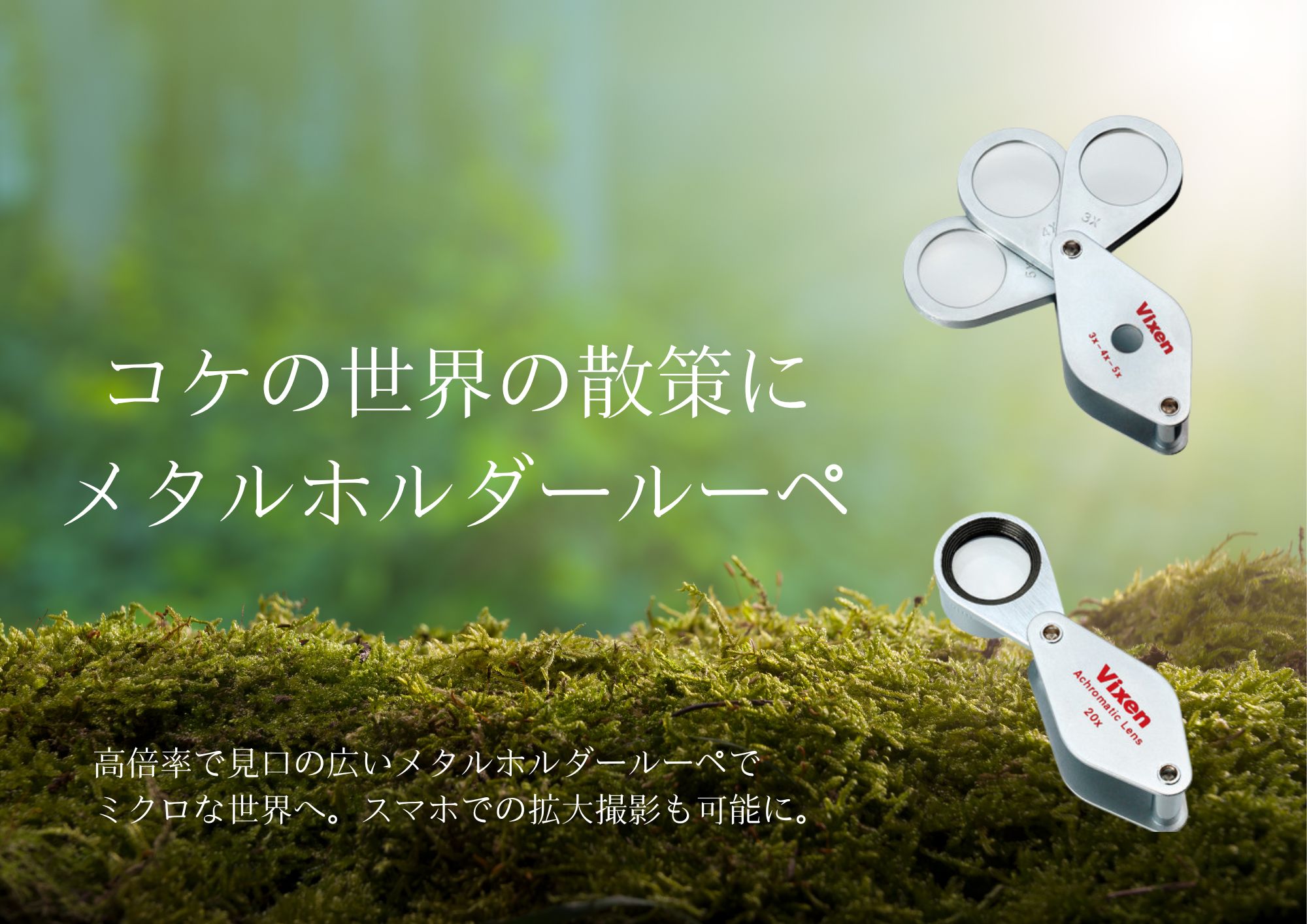 コケセール