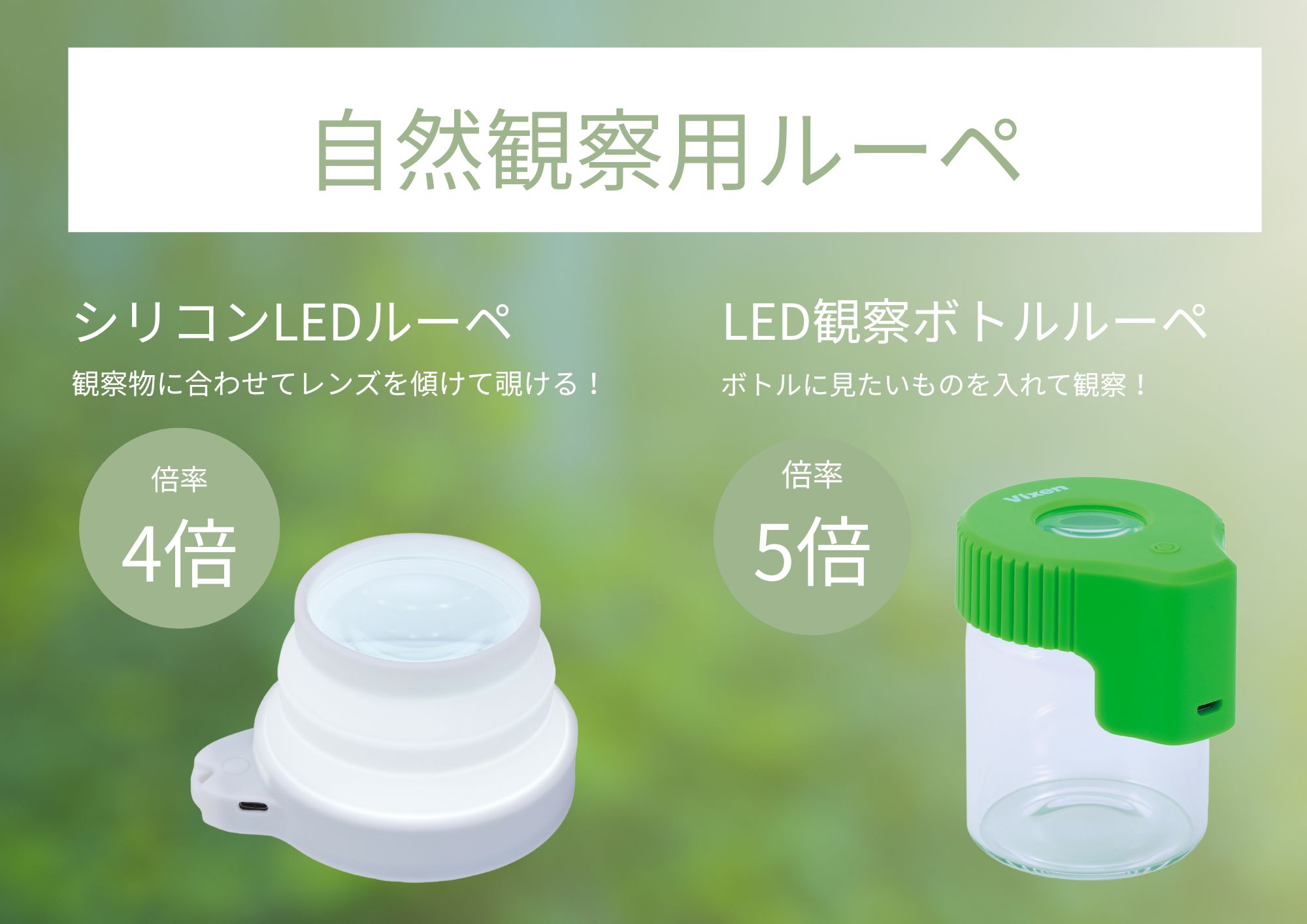 コケセール