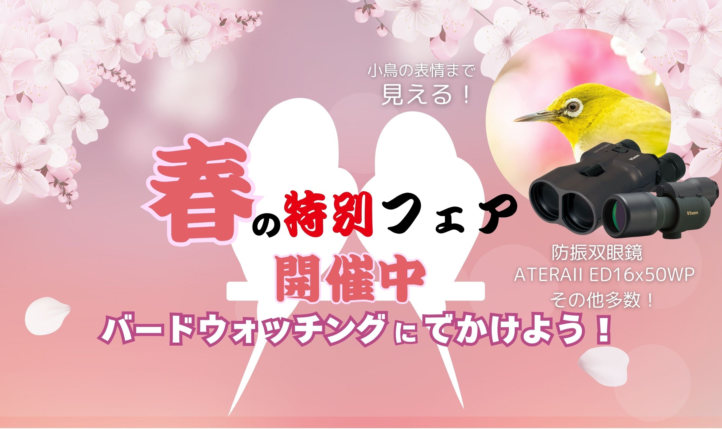 バードウォッチングのベストシーズン到来！双眼鏡で楽しむ、冬鳥
